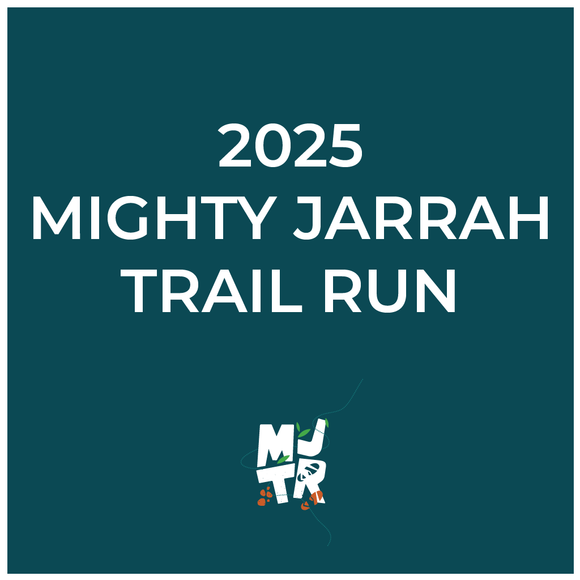 MJTR 2025